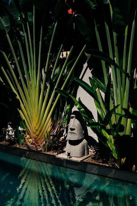 50% Off Cinta Villa, A Luxury In Sanur